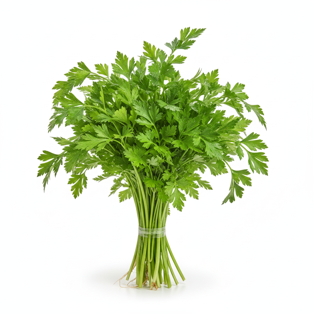 Italian Parsley Bunch