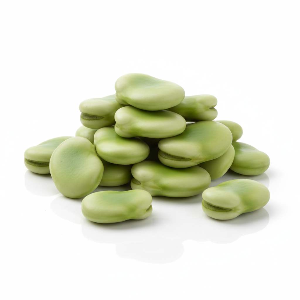 Fava Beans