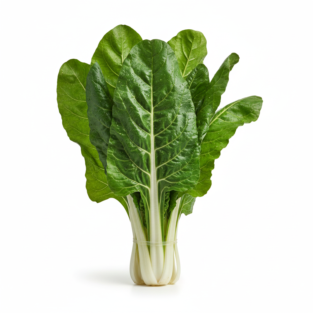 Green Swiss Chard Bunch