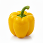 Yellow Bell Pepper
