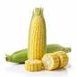 Corn