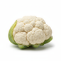 Cauliflower Head