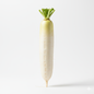 White Radish