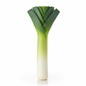 Leek