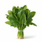 Spinach Bunch