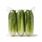 Romaine Hearts 3 Pack