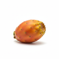 Orange Cactus Pear