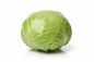 Flat Cabbage